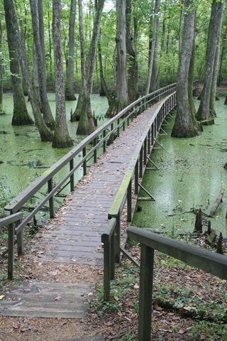 [Natchez Traceway 023[5].jpg]