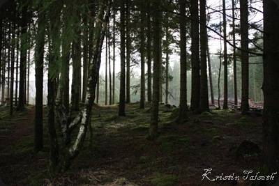IMG_5374 IMG_5374