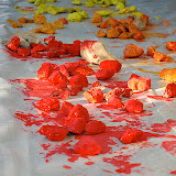 DSC_2451.JPG