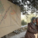 DSC_2933.JPG