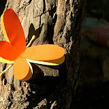 DSC_4040.JPG