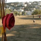 DSC_4185.JPG