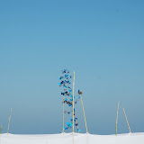DSC_0389.JPG