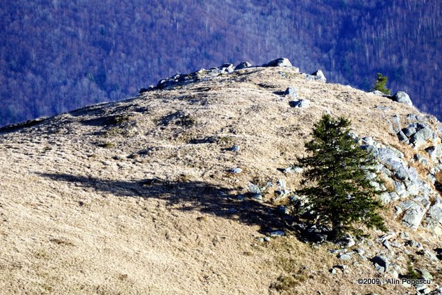_ATN0347.jpg
