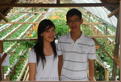 At the strawberry farm