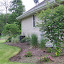 ElizaK28's Foundation East side of home garden