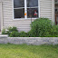ElizaK28's Stone Block Basement garden