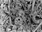 [human skulls[4].jpg]