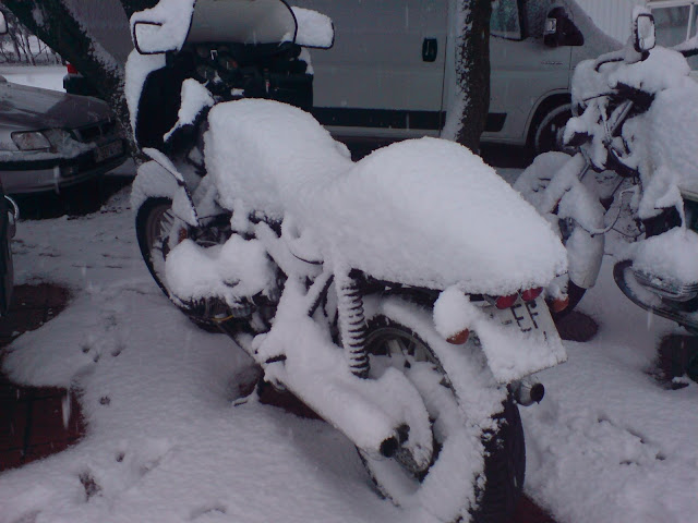 DSC00407.JPG