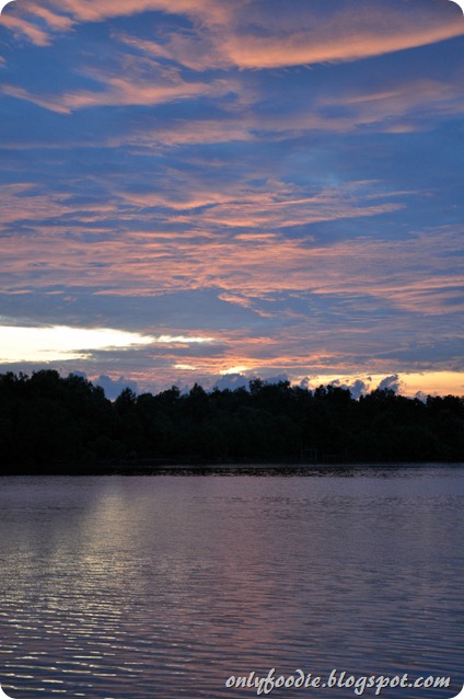 DSC_0530 DSC_0530