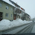 SL705079.JPG