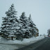 SL705082.JPG