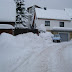 SL705095.JPG