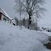 SL705098.JPG