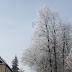 IMG_6648.JPG