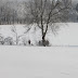 IMG_6697.JPG