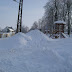 SL705166.JPG