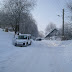 SL705167.JPG