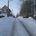 SL705171.JPG