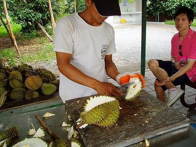 ドリアンだって食べ放題