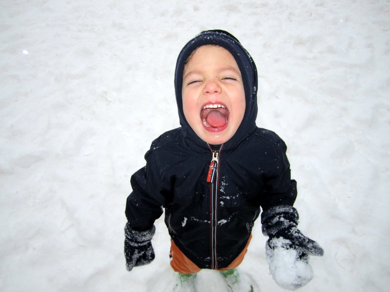[02 february 2011 050[4].jpg]