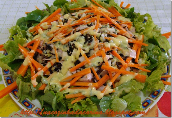Salada-de-Arroz-Integral-com-Peito-de-Peru-01 Salada-de-Arroz-Integral-com-Peito-de-Peru-01