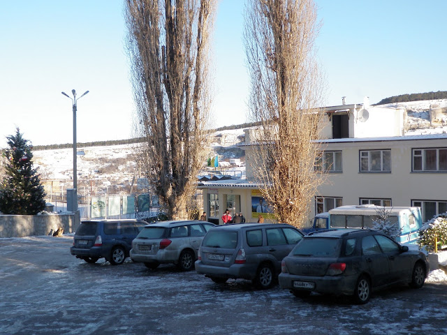 P1050203.JPG