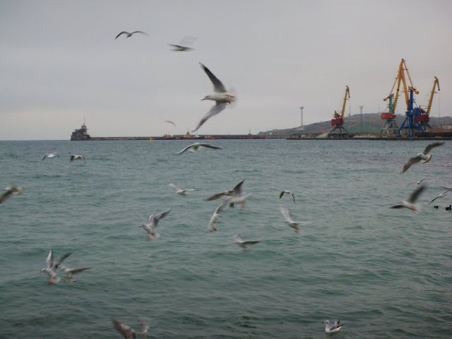 P1090849.JPG