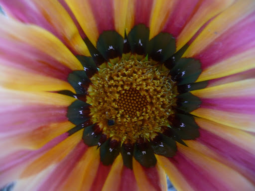 Нет. ну только подумать - H:i