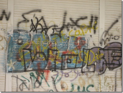IMG_7970 IMG_7970