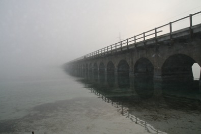 [Fog2[4].jpg]