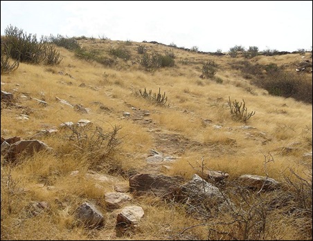 dsr01_thumb%5B3%5D.jpg?imgmax=800