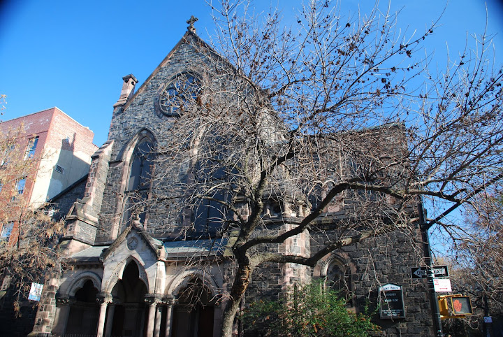 A New York Tree