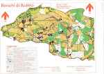 Ronchi di Buttrio 04.05.2003