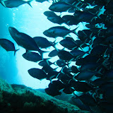 22 March 2009 Poor Knights Islands