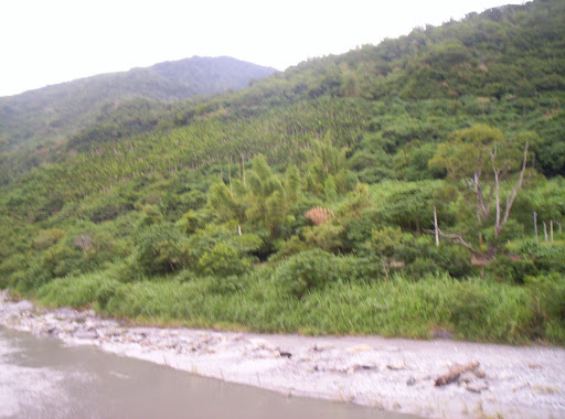 betel