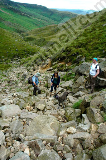 Peaks - 65.jpg