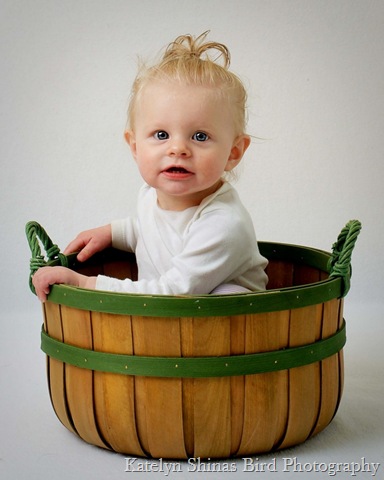 [Basket 2-rs-straight[2].jpg]