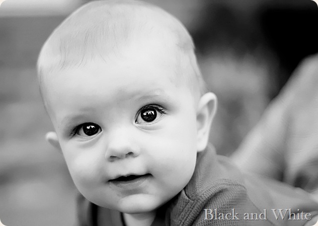 38-1 B&W