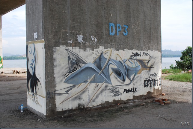 DSC_0318