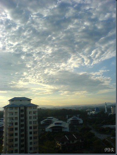 DSC01749