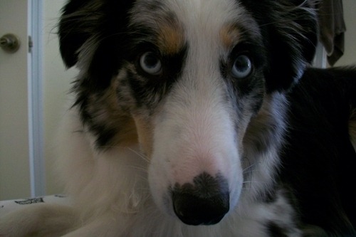 [buddyface[3].jpg]