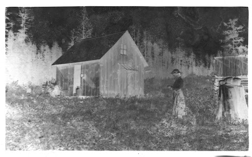thrifty frugal homesteading uk blogs