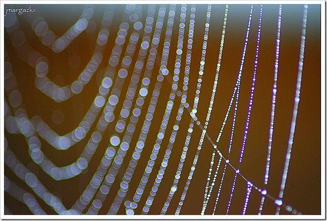 DSC_03390001 DSC_03390001