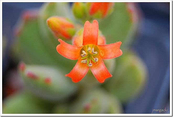 DSC_05190001 DSC_05190001