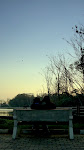 Evening together