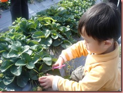DSC02158_調整大小