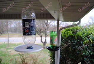 أفكار لاطعام العصافير Bird-Feeder-from-recycled-drink-bottle_thumb%5B2%5D