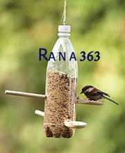 [rana363_0307_birdfeeder3.gif]