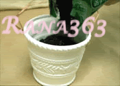 [clip_image006[3].gif]